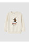 Esvab • Modern & Distinctive Printed Boys' Thick Sweatshirt