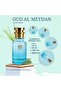 Oil Based Perfume for Men – Aromatic Marine Woody Fragrance with Sea Notes, Bergamot, Rosemary, Sage, Incense & Patchouli – Long Lasting Alcohol-Free Perfume - 2
