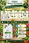 Neem Oil 5 Liters (Neem Tree Oil 5Lt) 100% Pure Without Additives Cold Pressed, Plant, Skin and Hair Care - 4