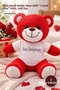 2 Plush Teddy Bears - Red Plush Gift with T-Shirt and "I Love You" Written, Plush Teddy Bear, Soft Toy