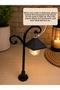 Autumn Lamp Turkish Coffee Cup - 8