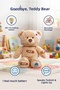 Turkish Speaking Interactive Goodbye Uf-Uf Teddy Bear Patient Healing Game Plush Bear 40 cm - 5