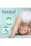 Baby Diapers Premium Care Size 4 126 Pieces Monthly Offer Package - 4