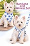 Adjustable Scarf, Chest Harness and Travel Strap Set of 3