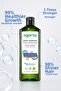 Herbal Salt-Free Shampoo for Strong and Shiny Hair 400 Ml. - 2