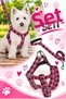 Dog Chest Harness and Walking Strap Set