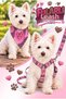 Adjustable Scarf, Chest Harness and Travel Strap Set of 3