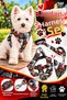 Adjustable Scarf, Chest Harness and Travel Strap Set of 3