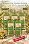 D'Olive Olive Oil Nourishing Volumizing Shampoo 400 ml X 5 Bottles