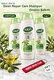 Repair Care Shampoo 450 ml X 3 Bottles