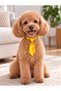 Adjustable Dog Collar with Tie - the Narrowest Part Is 15cm, the Widest Part Is 26cm, the Tie Length Is 14cm. - 3