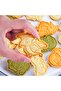 6-Piece Dinosaur Cookie Cutters with Plunger Stampers,3D Embossing Molds for Biscuits,Fondant,and Cheese - 4