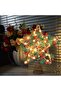 Holiday Tree Topper,Natural Star Tree Decoration with 30 LED Warm Lights,Battery Powered Rustic Indoor Ornament - 2