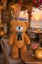 50 cm Decorative Plush Teddy Bear – Organization and Venue Decoration Product