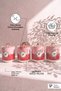 Birdy Porcelain 4-Piece Spice Set - 2