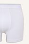 Regular Fit Elastic-Waist Modal 2-Piece Boxer Shorts I6942AX26AU - 4
