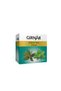 Green tea Tulsi(10 TeaBags) 12g | Premium Indian Tea - 5