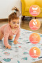 High Chair Cover Fruit and Vegetable 3 Pieces Roll of 10 - 2