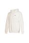 Hmlt-Ic Ico Men's Hoodie