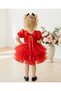 Girl's Tutu Dress Birthday Party Dress - 2