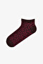 Burgundy Brown Leopard Everyday 5 Pairs of Booties Socks - 5