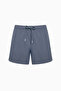 Gray Stripe Detailed Striped Men's Swim Shorts