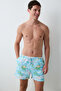 Colorful Flamingo Men's Swim Shorts
