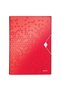 Plastic Map with 6 Compartments Red Project Type WOW