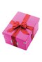 MEDIUM PINK STORAGE BOX CLICK&STORE - 5