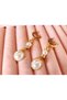 Money, Luck, and Success Steel Earrings - 4