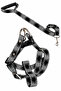 Dog Chest Harness and Walking Strap Set