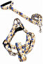 Dog Chest Harness and Walking Strap Set
