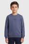 Kids Boy Crew Neck Brand Logo Long Sleeve Sweatshirt, Slate Blue