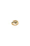 THE PYTHON RING