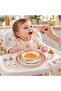 Camelia 4 Piece Food Set 63342 - 2