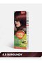 Hello Hair - Hair Color Cream Burgundy 4.6 - 3