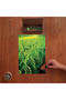 Rice Field Design 240 Piece Wooden Puzzle in Wooden Box Pd00730