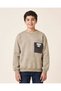 Senior Boys Taupe Round Neck Sweatshirt