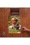Mandarin Ducks Design 240 Piece Wooden Puzzle in Wooden Box Pd00507