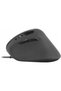 Mouse PIAVO - 4