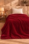 Single Welsoft Blanket 150X220 cm – Soft Textured Warm and Comfortable Blanket - 6
