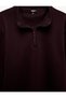 Shawl Collar Regular Fit Long Sleeve Zippered Sweatshirt - 3