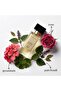 995 Perfume Unisex 50 ml | Pink Pepper, Geranium, Cypriol, Rose, Oud, Benzoin Resin, Patchouli, Coumarin, Musk | For Him & Her Men Women - 2