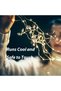 50M 500LED Warm White Fairy String Lights with Remote Control, 8 Modes Timer Dimmable Christmas Tree Decorative Lights for Indoor & Covered Outdoor Holiday Party Decoration - 2