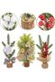 Mini Christmas Tree 3 Pcs Tabletop Artificial Mini Xmas Pine Tree Miniature Pine Christmas Tree with Linen Base for Home Office Room Holiday Decor (A-3PCS) - 8
