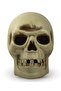 Halloween Creepy Giant Light-Up Skull Decoration
