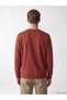 Southblue brown crew neck men's sweatshirt - 4