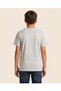 Senior Boys Grey Printed T-Shirt - 4