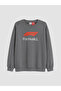 Esvab • Modern & Distinctive Formula 1 Printed Boys' Soft Touch Sweatshirt