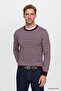 Men's Burgundy-White Warm Standard Fit Regular Cut Crew Neck Striped Knitwear Sweater